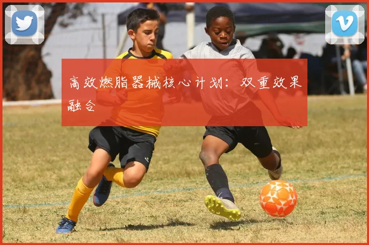 高效燃脂器械核心计划：双重效果融合