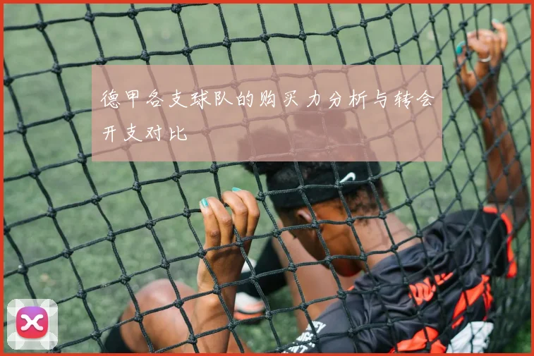 德甲各支球队的购买力分析与转会开支对比