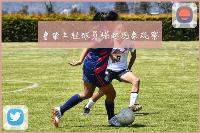 鲁能年轻球员崛起现象观察