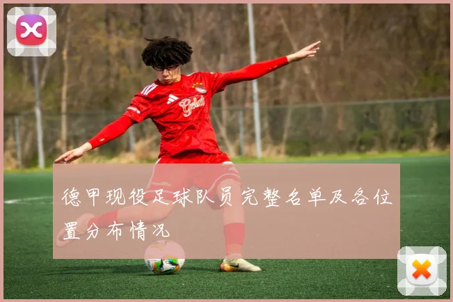 德甲现役足球队员完整名单及各位置分布情况